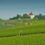 Vogelsburg