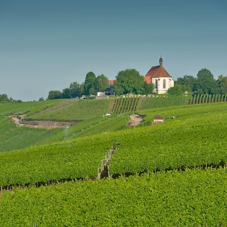 Vogelsburg