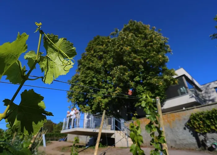 Vogelsburg Hotel