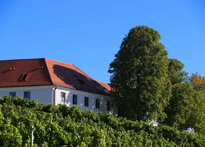 Hotel Vogelsburg Volkach