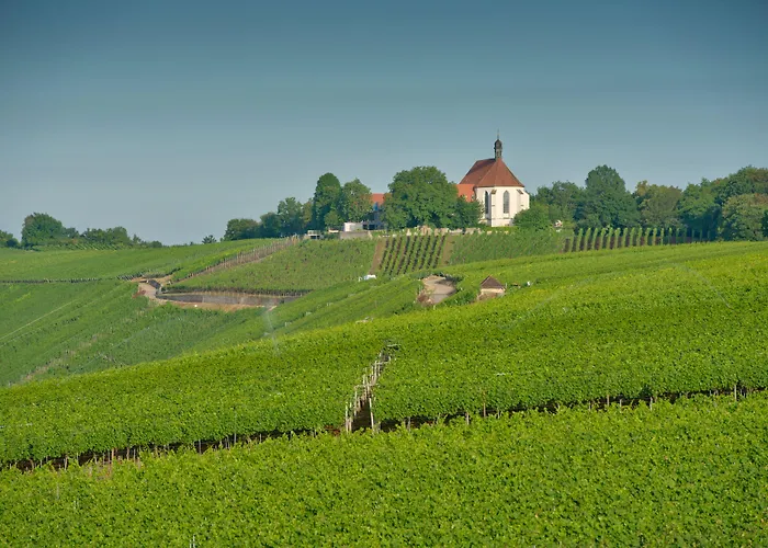 Vogelsburg