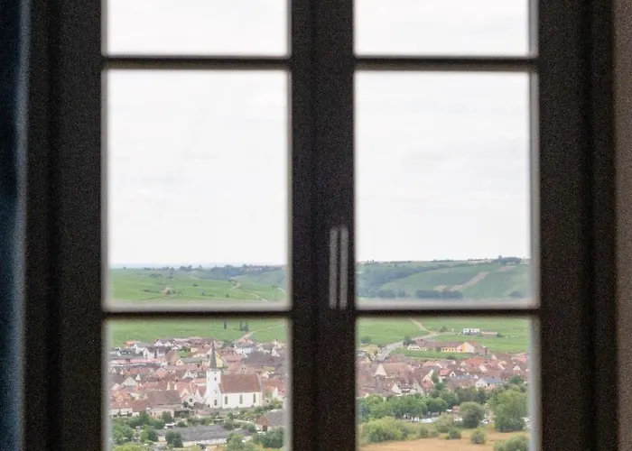 Hotel Vogelsburg 3*