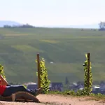 Vogelsburg 3*