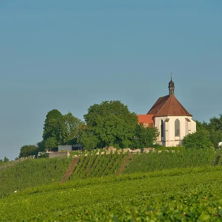 Vogelsburg Escherndorf
