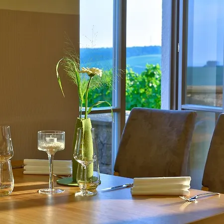 Vogelsburg Hotel 3*