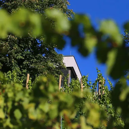 Vogelsburg Hotell