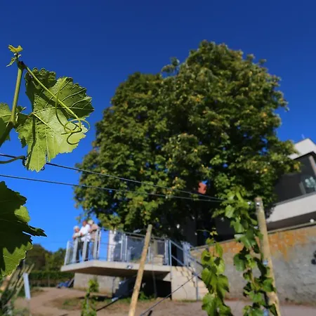 Vogelsburg Hotel