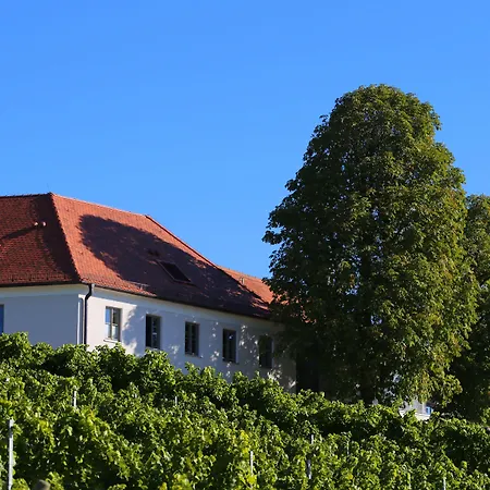 酒店 Vogelsburg 福尔卡赫