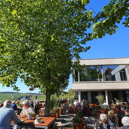 Vogelsburg 3* Escherndorf