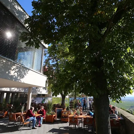 Vogelsburg Hotel 3*