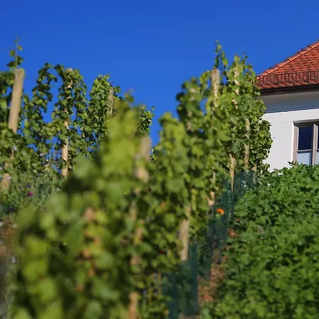 Vogelsburg Hotel