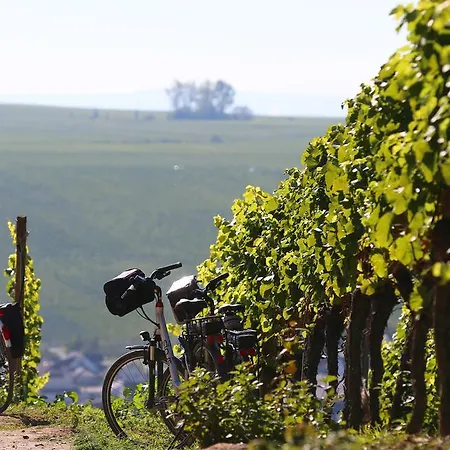 Vogelsburg 3* Escherndorf