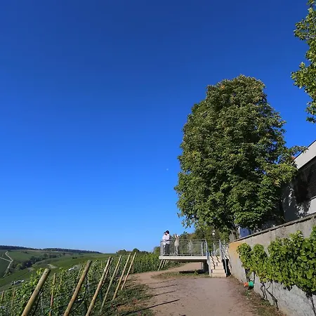 Vogelsburg 酒店 福尔卡赫