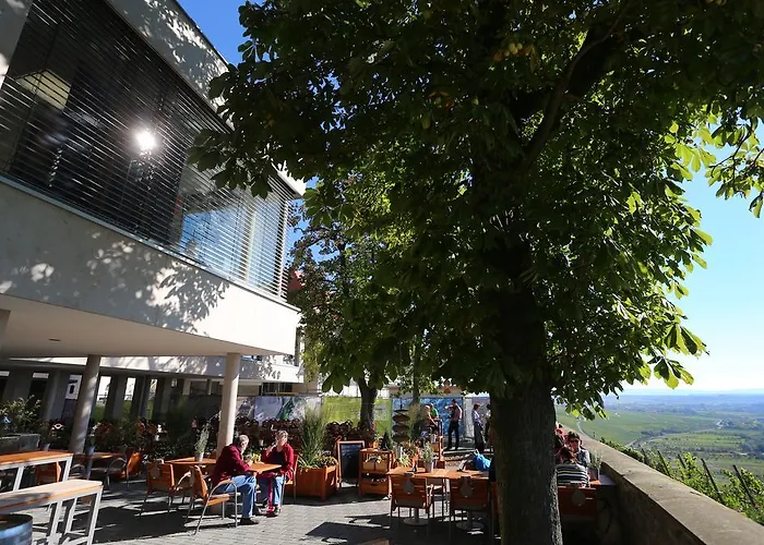Vogelsburg Hotell 3*