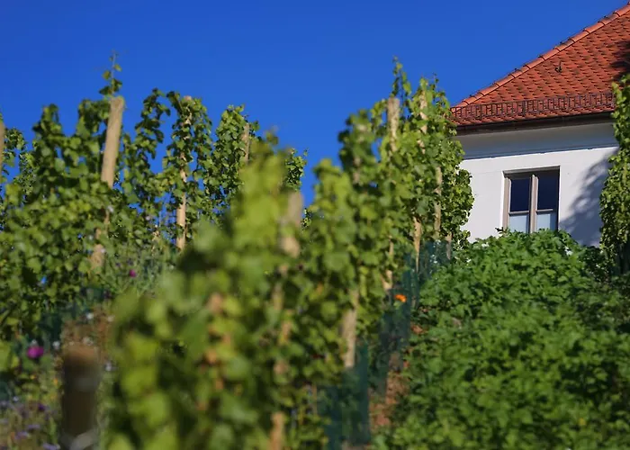 Vogelsburg Hotell
